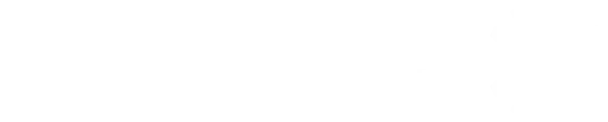 THW Logo